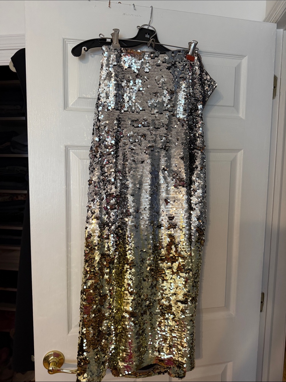 Anthropologie Silver and Gold Sequin Maxi Skirt